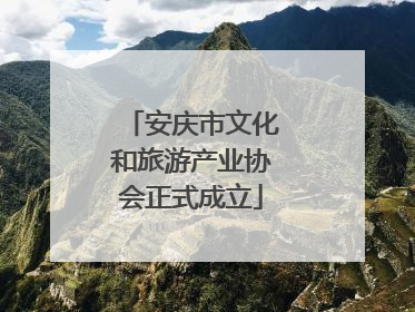 安庆市文化和旅游产业协会正式成立