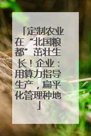 定制农业在“北国粮都”茁壮生长！企业：用算力指导生产，扁平化管理种地