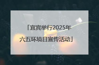 宜宾举行2025年六五环境日宣传活动