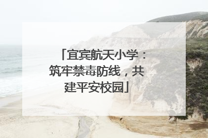 宜宾航天小学：筑牢禁毒防线，共建平安校园