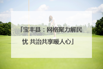 宝丰县：网格聚力解民忧 共治共享暖人心