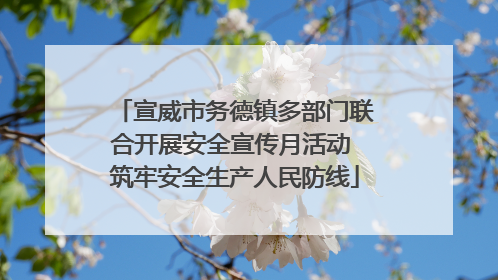 宣威市务德镇多部门联合开展安全宣传月活动 筑牢安全生产人民防线