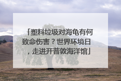 塑料垃圾对海龟有何致命伤害？世界环境日，走进开普敦海洋馆