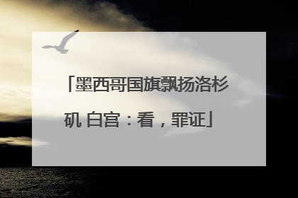 墨西哥国旗飘扬洛杉矶 白宫：看，罪证