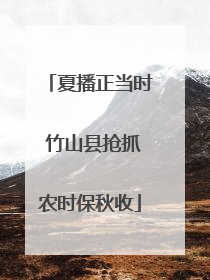 夏播正当时 竹山县抢抓农时保秋收