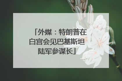 外媒：特朗普在白宫会见巴基斯坦陆军参谋长