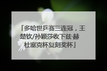 多哈世乒赛三连冠，王楚钦/孙颖莎收下兹·赫杜塞克杯复刻奖杯