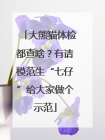 大熊猫体检都查啥？有请模范生“七仔”给大家做个示范