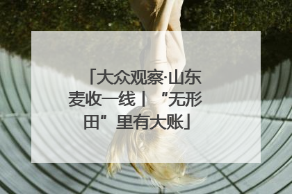大众观察·山东麦收一线丨“无形田”里有大账