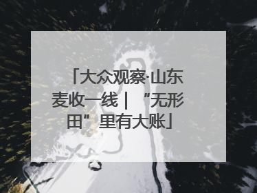大众观察·山东麦收一线｜“无形田”里有大账