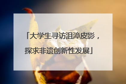 大学生寻访沮漳皮影，探求非遗创新性发展