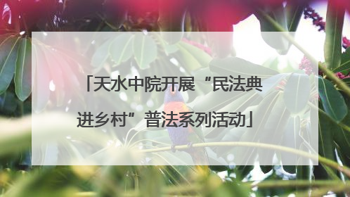 天水中院开展“民法典进乡村”普法系列活动