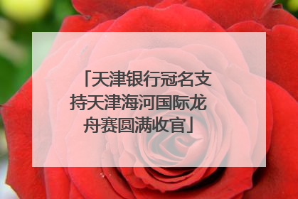 天津银行冠名支持天津海河国际龙舟赛圆满收官