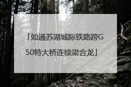 如通苏湖城际铁路跨G50特大桥连续梁合龙