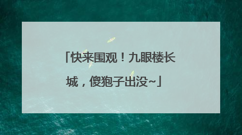 快来围观！九眼楼长城，傻狍子出没~