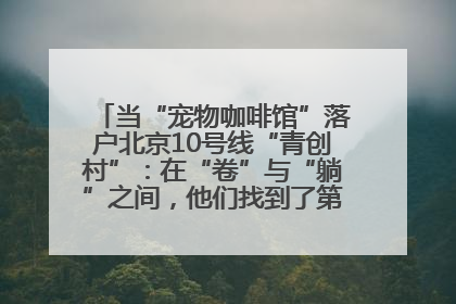 当“宠物咖啡馆”落户北京10号线“青创村”：在“卷”与“躺”之间，他们找到了第三种生活公式
