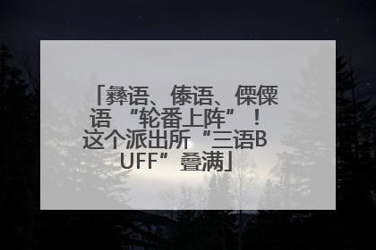 彝语、傣语、傈僳语 “轮番上阵”！这个派出所“三语BUFF”叠满