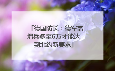德国防长：德军需增兵多至6万才能达到北约新要求