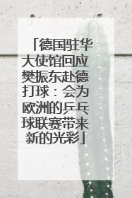 德国驻华大使馆回应樊振东赴德打球：会为欧洲的乒乓球联赛带来新的光彩