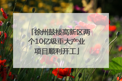徐州鼓楼高新区两个10亿级重大产业项目顺利开工