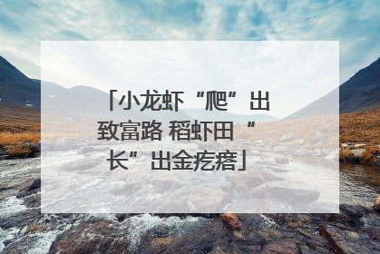 小龙虾“爬”出致富路 稻虾田“长”出金疙瘩