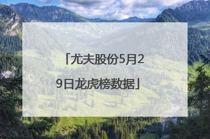 尤夫股份5月29日龙虎榜数据