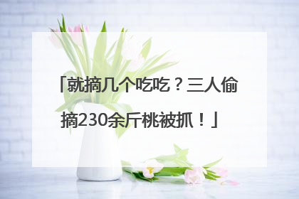 就摘几个吃吃？三人偷摘230余斤桃被抓！