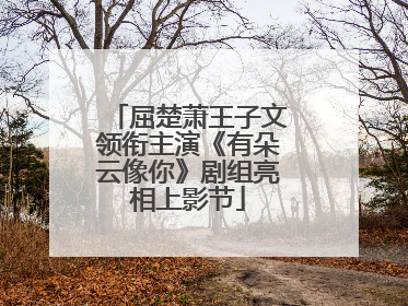 屈楚萧王子文领衔主演《有朵云像你》剧组亮相上影节