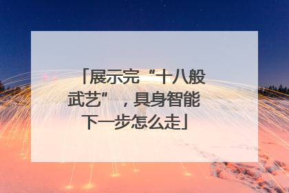 展示完“十八般武艺”，具身智能下一步怎么走