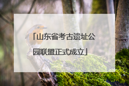 山东省考古遗址公园联盟正式成立