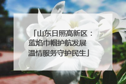 山东日照高新区：蓝焰巾帼护航发展 温情服务守护民生