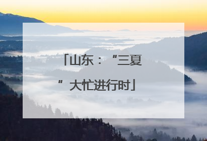 山东：“三夏”大忙进行时