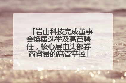 岩山科技完成董事会换届选举及高管聘任，核心层由头部券商背景的高管掌控