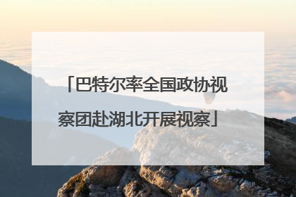 巴特尔率全国政协视察团赴湖北开展视察