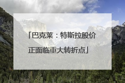 巴克莱：特斯拉股价正面临重大转折点