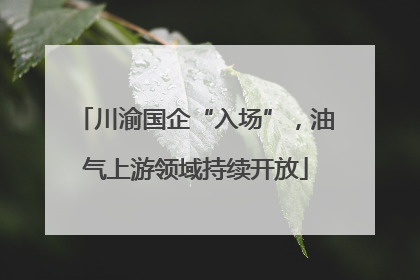 川渝国企“入场”，油气上游领域持续开放