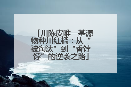 川陈皮唯一基源物种川红橘：从“被淘汰”到“香饽饽”的逆袭之路