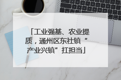 工业强基、农业提质，通州区东社镇“产业兴镇”扛担当