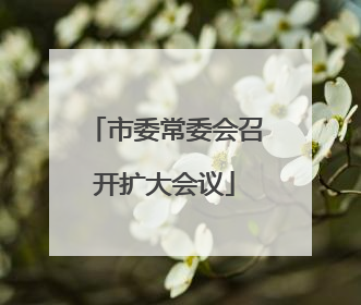 市委常委会召开扩大会议