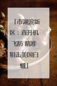 市湖滨新区：直升机飞防 精准狙击美国白蛾