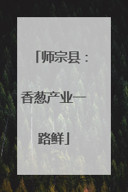 师宗县：香葱产业一路鲜