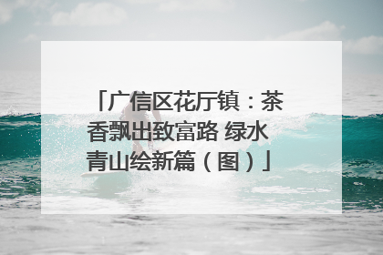 广信区花厅镇：茶香飘出致富路 绿水青山绘新篇（图）
