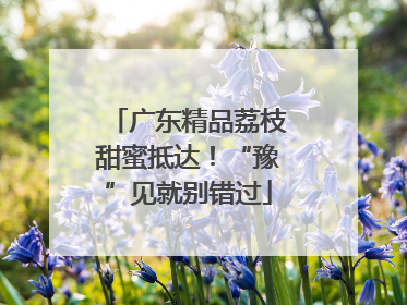 广东精品荔枝甜蜜抵达！“豫”见就别错过