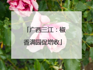 广西三江：椒香满园促增收