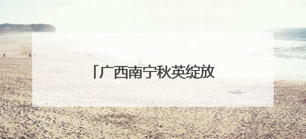 广西南宁秋英绽放 浪漫花海醉游人
