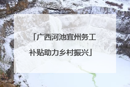 广西河池宜州务工补贴助力乡村振兴