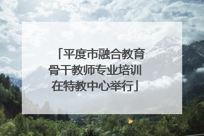 平度市融合教育骨干教师专业培训在特教中心举行