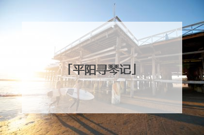 平阳寻琴记