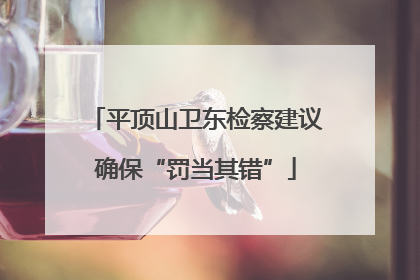 平顶山卫东检察建议确保“罚当其错”