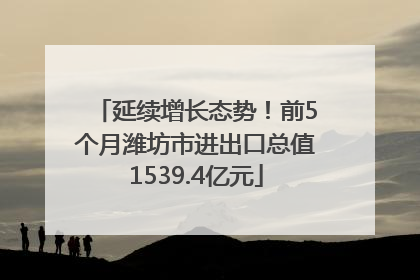 延续增长态势！前5个月潍坊市进出口总值1539.4亿元